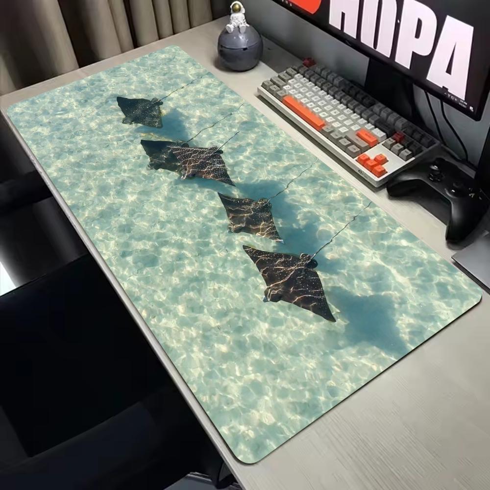 Stingrays Aerial Mouse Pad Mul - Gaming Keyboard Non Mechanical review and price